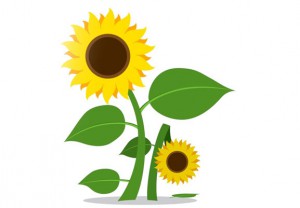 soncnica-logo