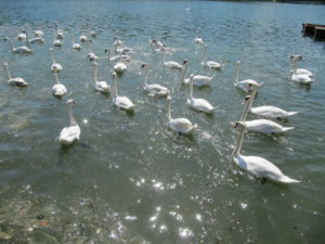 06-img_8281