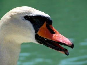 10-img_8634