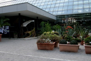 2-IMG_8428