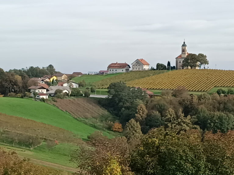 DO Trbovlje: Prvič na letovanju z društvom